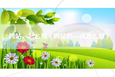 网站seo怎么写（网站的seo该怎么做）