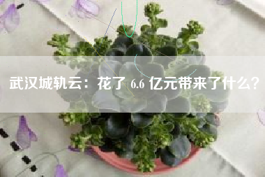 武汉城轨云：花了 6.6 亿元带来了什么？
