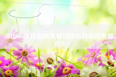 凉山seo优化影响关键词排名的原因有哪些？