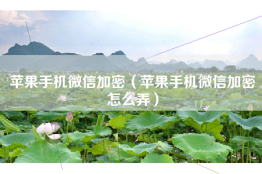 苹果手机微信加密（苹果手机微信加密怎么弄）