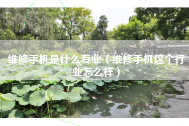 维修手机是什么专业（维修手机这个行业怎么样）