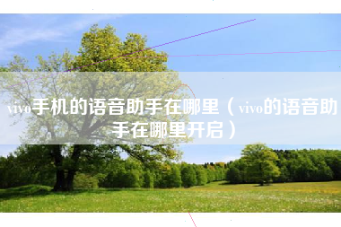 vivo手机的语音助手在哪里（vivo的语音助手在哪里开启）