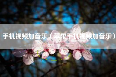 手机视频加音乐（苹果手机视频加音乐）