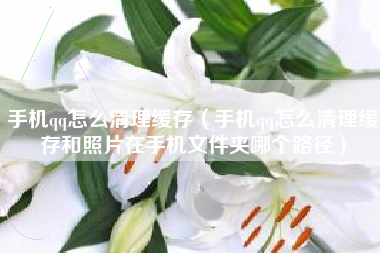 手机qq怎么清理缓存（手机qq怎么清理缓存和照片在手机文件夹哪个路径）