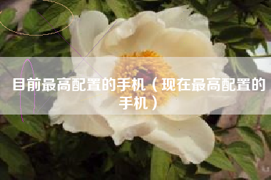 目前最高配置的手机（现在最高配置的手机）