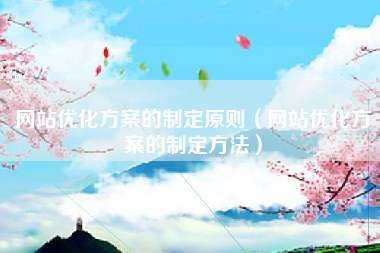 网站优化方案的制定原则（网站优化方案的制定方法）