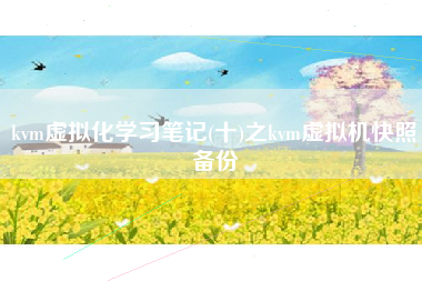 kvm虚拟化学习笔记(十)之kvm虚拟机快照备份
