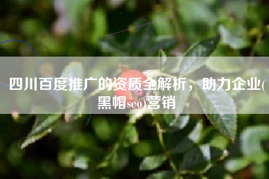 四川百度推广的资质全解析，助力企业(黑帽seo)营销